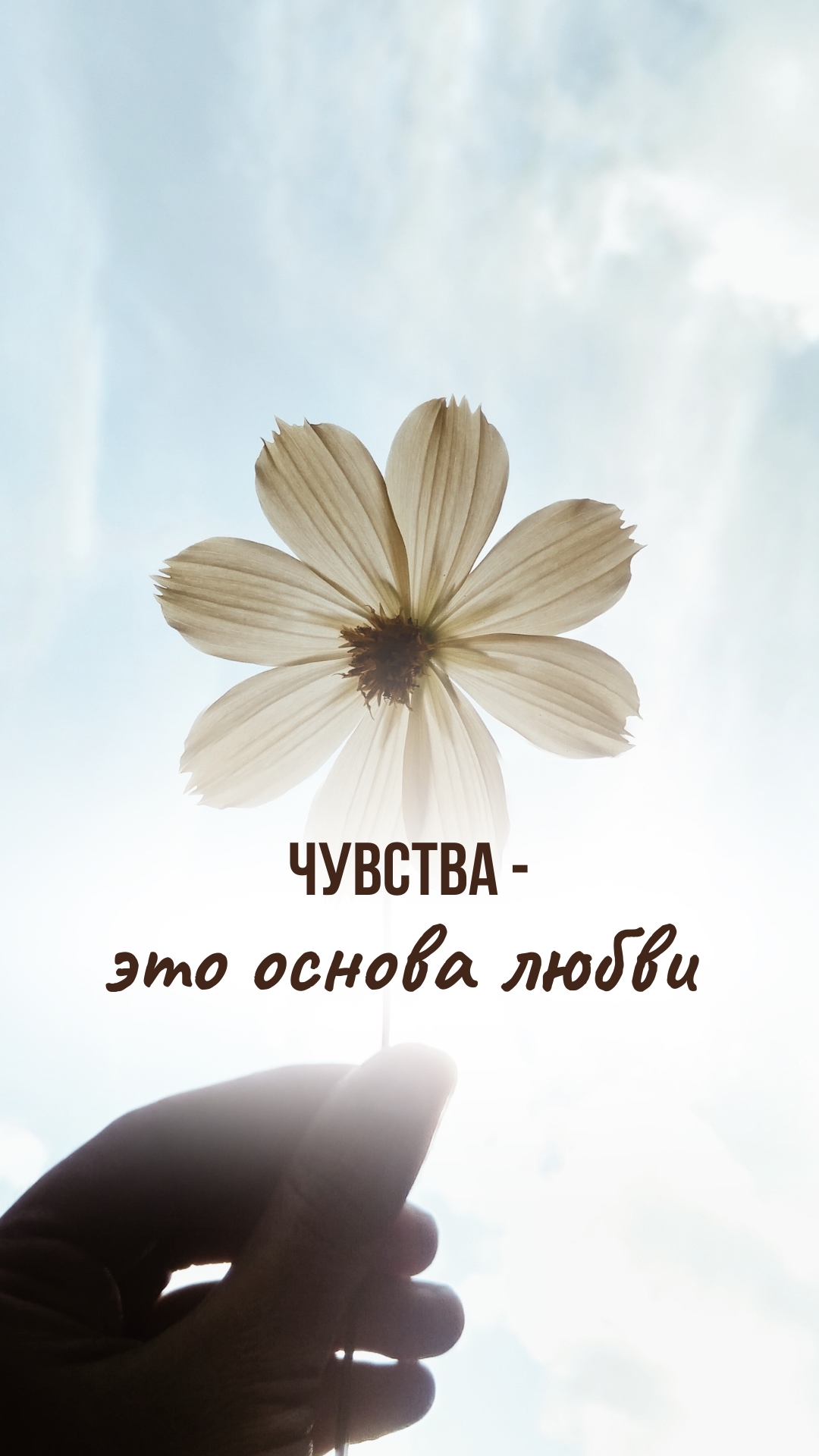 🌟 ЧУВСТВА - ЭТО ОСНОВА ЛЮБВИ!