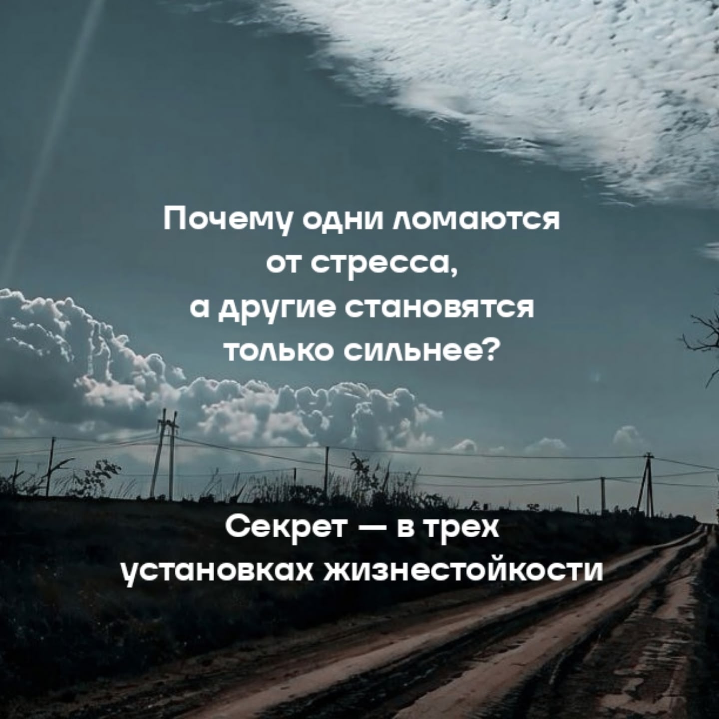 Знаете ли Вы, что жизнестойкость — это не врожденный дар, а навык, который…